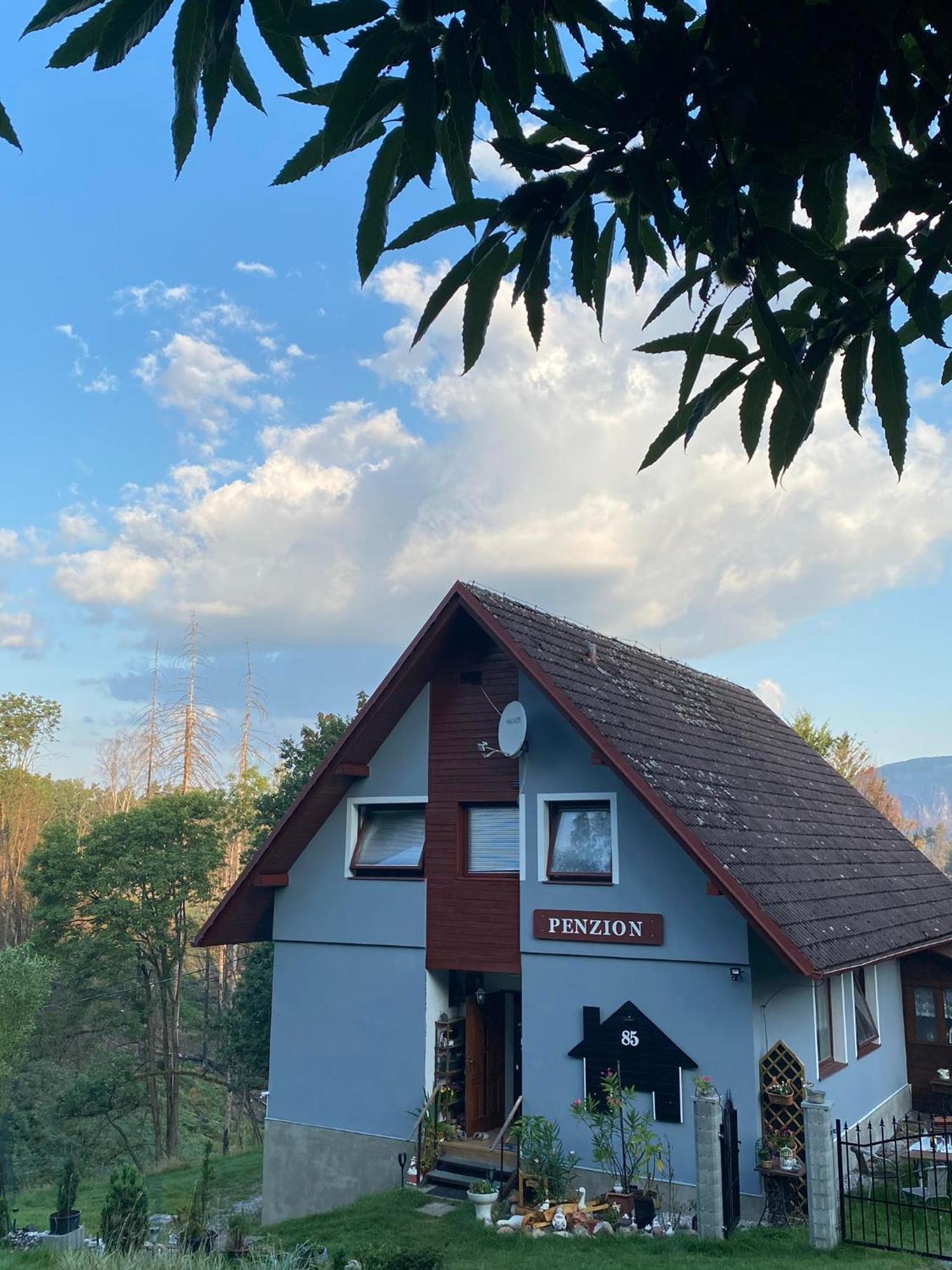 Ferienwohnung Mezna 85 Hřensko Exterior foto